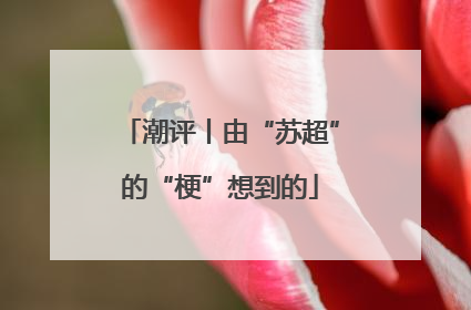 潮评丨由“苏超”的“梗”想到的
